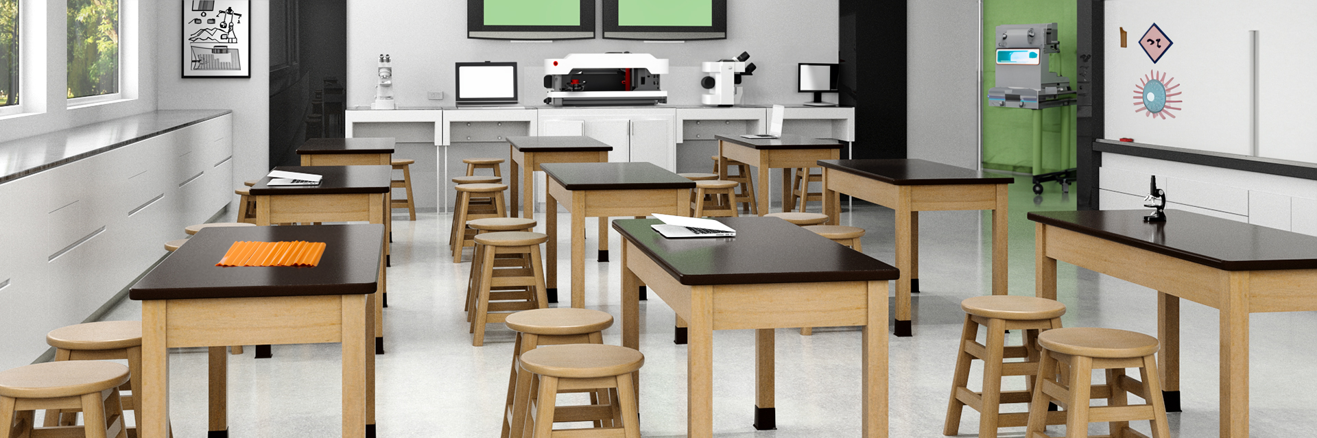 Stem Environment